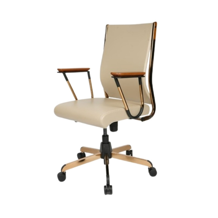 office furniture in derabassi